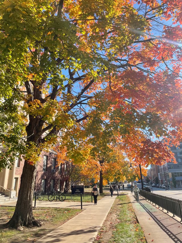 fall on campus