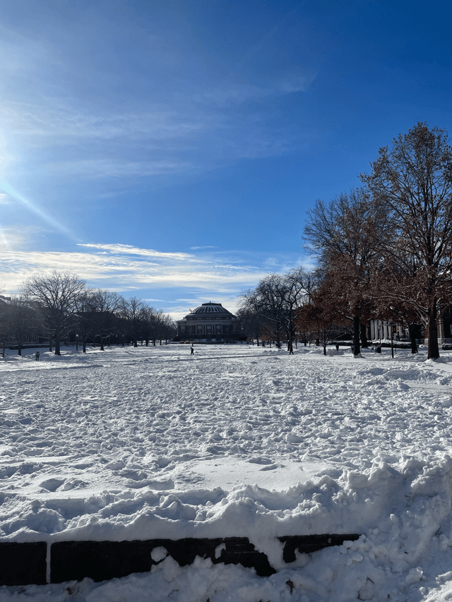 chambana winters